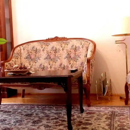 Elegant Flat In City Center Apartment *